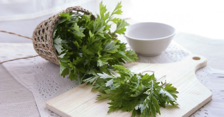 Ngải cứu còn được nhiều chị em phụ nữ sử dụng trong việc làm đẹp. Ngải cứu còn được nhiều chị em phụ nữ sử dụng trong việc làm đẹp.
