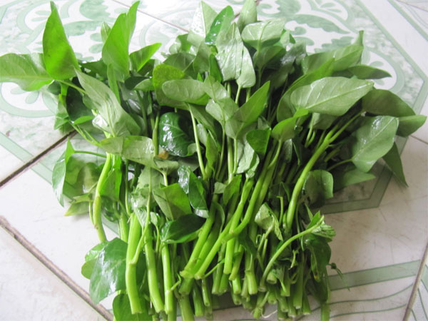 Không nên ăn rau muống sống
