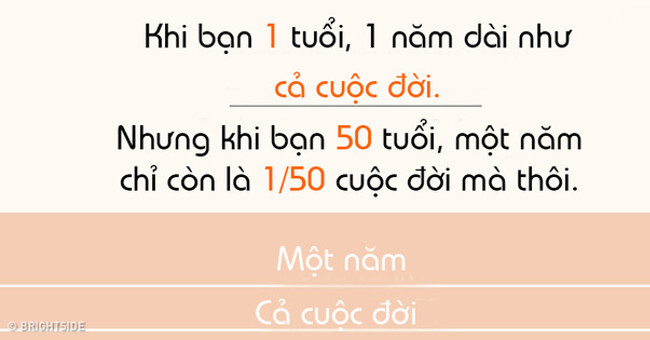 Tại Sao Thời Gian Có Vẻ Trôi Qua Nhanh Hơn Khi Chúng Ta Già Đi?