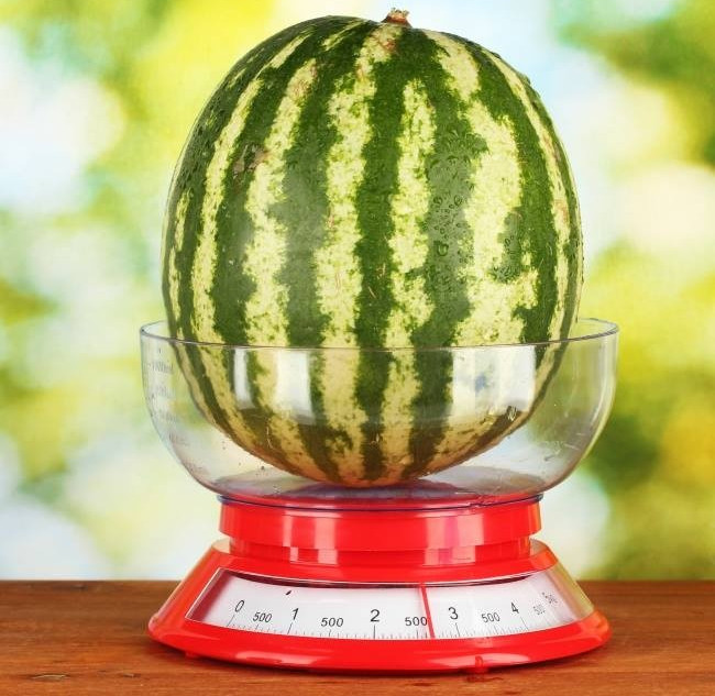 Nên chọn quả dưa có kích cỡ lớn một chút.