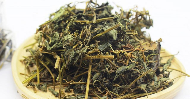 Giảo cổ lam: Từ lá phơi khô ở chợ đến các tác dụng hỗ trợ đường huyết và tim mạch