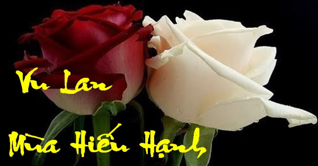 Lễ Vu Lan báo hiếu: nguồn gốc, nghi thức và ý nghĩa của bông hoa trên ngực áo