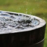 PFAS trong nước mưa: vì sao các chuyên gia khuyên không dùng để ăn uống