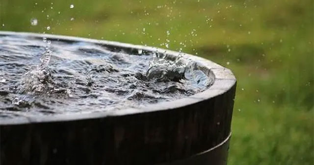 PFAS trong nước mưa: vì sao các chuyên gia khuyên không dùng để ăn uống