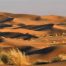 Khám Phá Độ Sâu Bí Ẩn Của Sa Mạc Sahara Qua Công Nghệ Radar