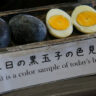 Khám Phá Đặc Sản Trứng Đen Kuro Tamago Nhật Bản: Huyền Thoại Và Thực Tế