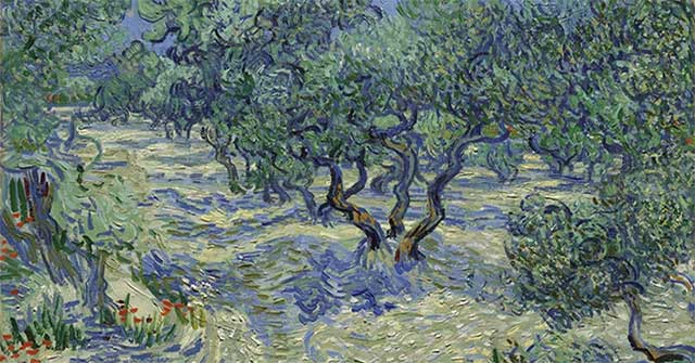 Phát hiện xác côn trùng ẩn trong ‘Những cây ô-liu’ của Van Gogh