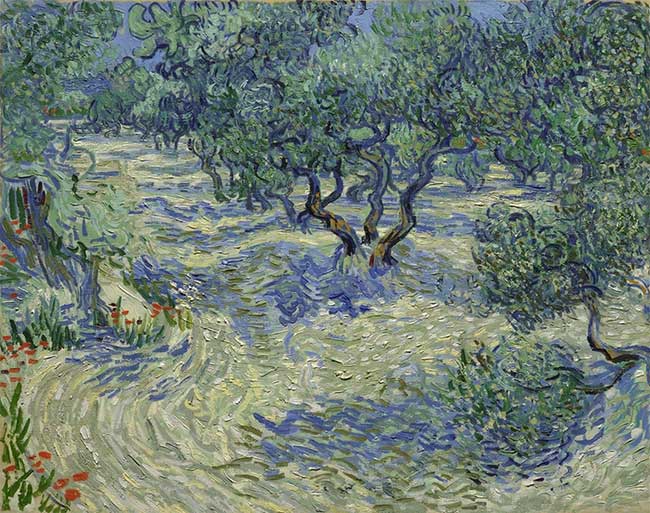 buc-tranh-nhung-cay-o-liu Bức tranh "Những cây ô liu" nổi tiếng của họa sĩ Vincent van Gogh.