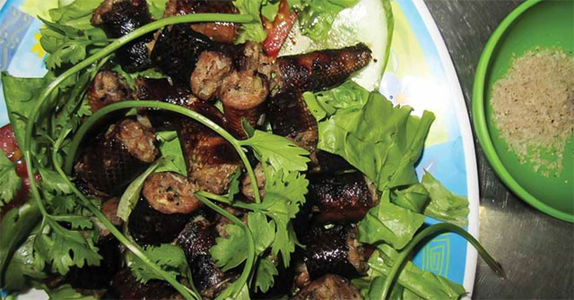 Trăn nuôi ở Việt Nam: nguồn protein ít tài nguyên và khả năng nhân rộng toàn cầu