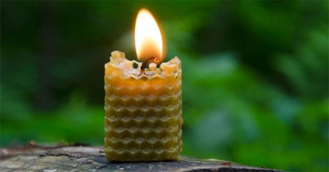 Làm sao để không khí trong nhà sạch hơn: 9 giải pháp tự nhiên và thiết thực